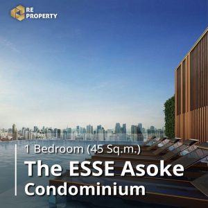 The Esse Asoke